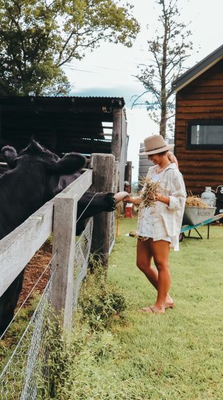 'Tiny Home' in Kurrajong - Credit: Youcamp Pty Ltd trading as Hipcamp Australia