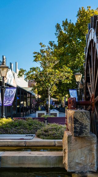 Shops along George Street in the historic suburb of Windsor