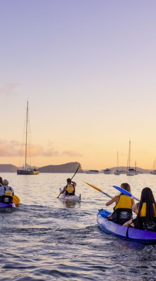 Pittwater Kayak Tour, Palm Beach