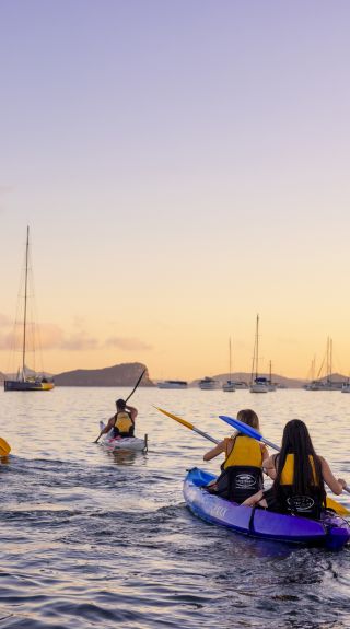 Sunrise kayaking experience with Pittwater Kayak Tours