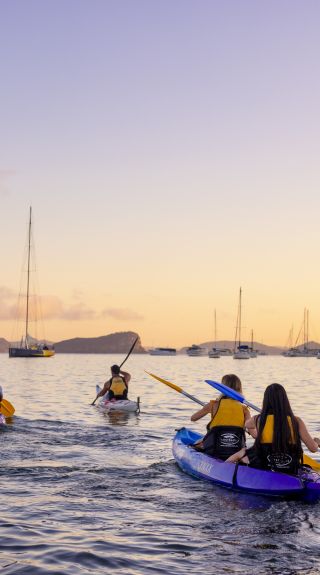 Sunrise kayaking experience with Pittwater Kayak Tours