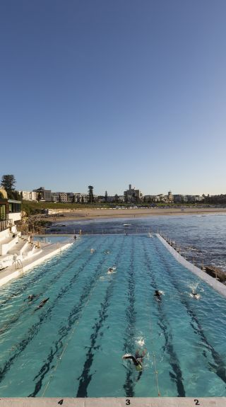 Bondi Icebergs