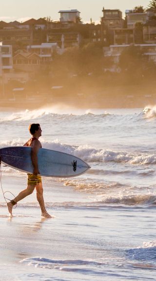 Surfers heading for a morning surf, Bondi Beach, Sydney