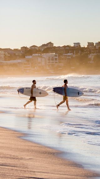 Surfers heading for a morning surf, Bondi Beach, Sydney