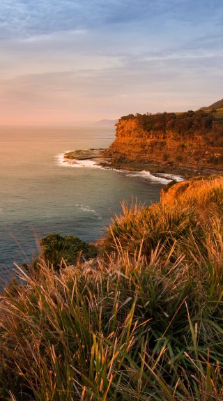 Sunrise Royal National Park - Credit: John Spencer | DCCEEW