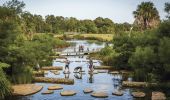 Sydney Park in St Peters 