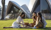 Picnic in the Royal Botanic Garden 