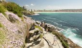 Bondi to Coogee Coastal Walk