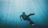 Man snorkelling off Avalon Beach, Avalon on Sydney's Northern Beaches, Sydney North