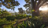 Woman enjoying the serenity in Wendy Whiteley's Secret Garden in Lavender Bay