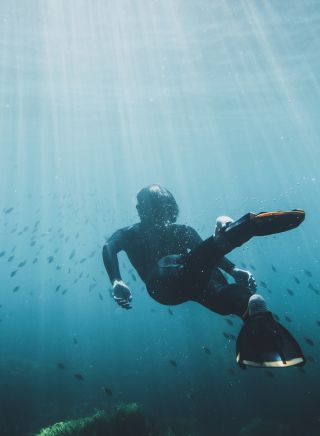 Man snorkelling off Avalon Beach, Avalon on Sydney's Northern Beaches, Sydney North