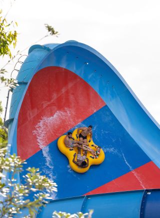 Friends enjoying the rides at Raging Water Sydney, Prospect near Blacktown