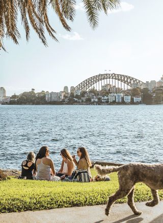 Picnic at Cremorne Point, Cremorne