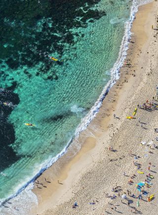 Bondi Beach