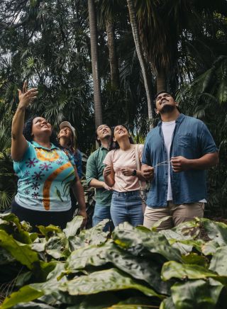 Aboriginal Tour - Royal Botanic Garden Sydney