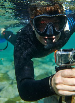 Snorkelling with Ecotreasures, Manly