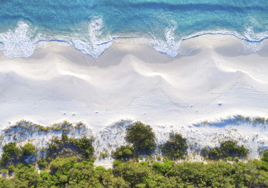 Hyams Beach in Jervis Bay - South Coast. Image Credit: Jordan Robins