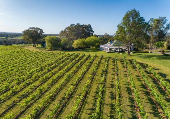 Spicers Vineyards Estate - Credit: Spicers Retreats